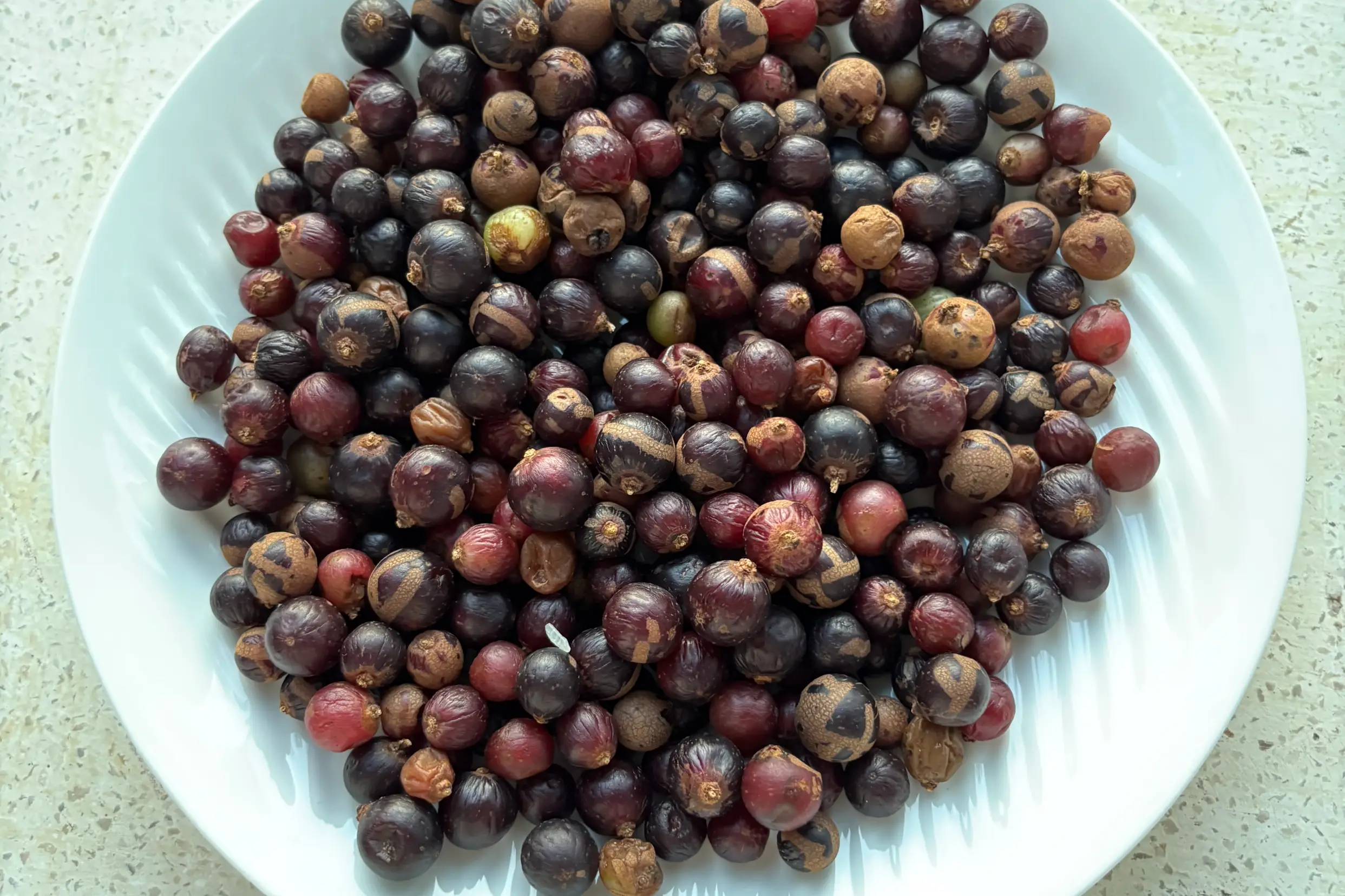 Rượu Nho Rừng
